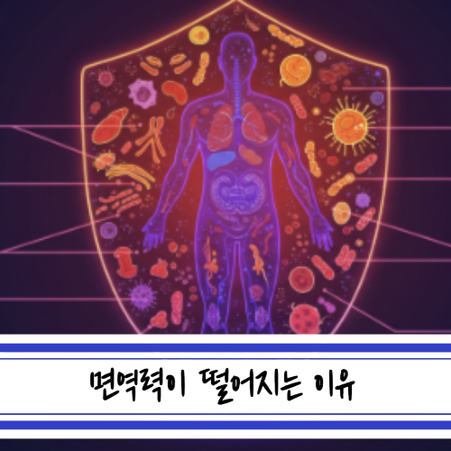 면역력 떨어지는 이유? 당신만 몰랐던 진짜 원인 5가지
