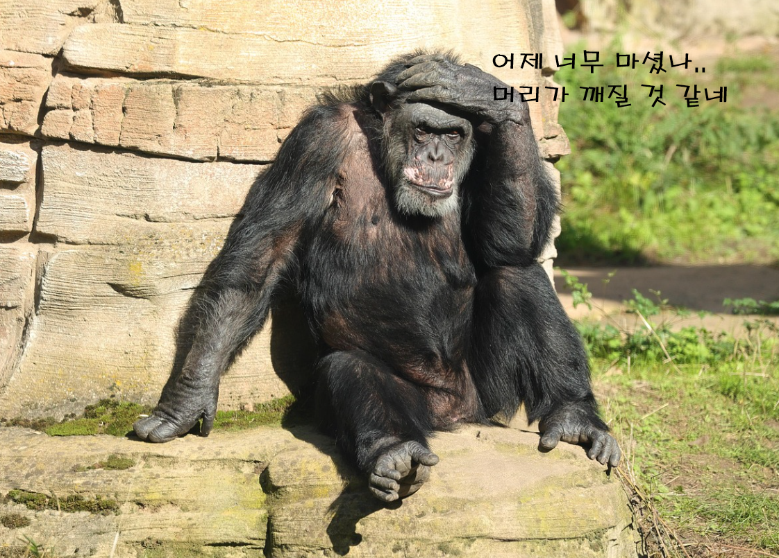 두통 썸네일