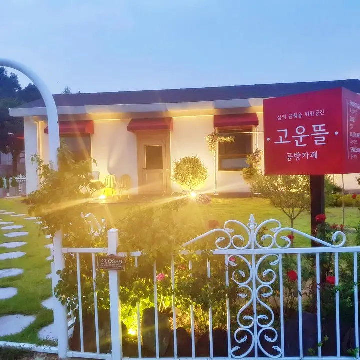 생방송오늘저녁 청주 사슴농장에서 자수공방 뜨개질 손바느질 수제청 핸드드립 카페