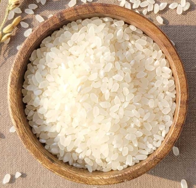 쌀종류-백미