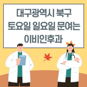 대구 북구 토요일 일요일 이비인후과 진료 문여는 병원 리스트