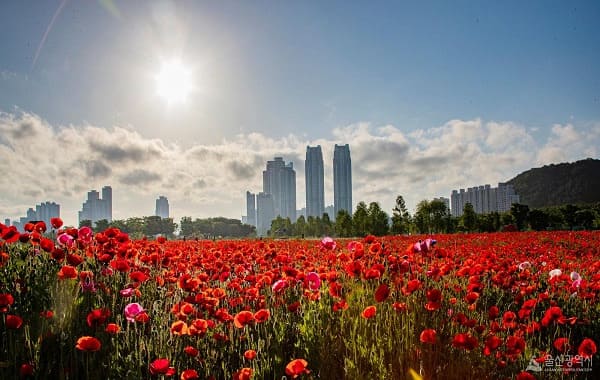 태화강국가정원