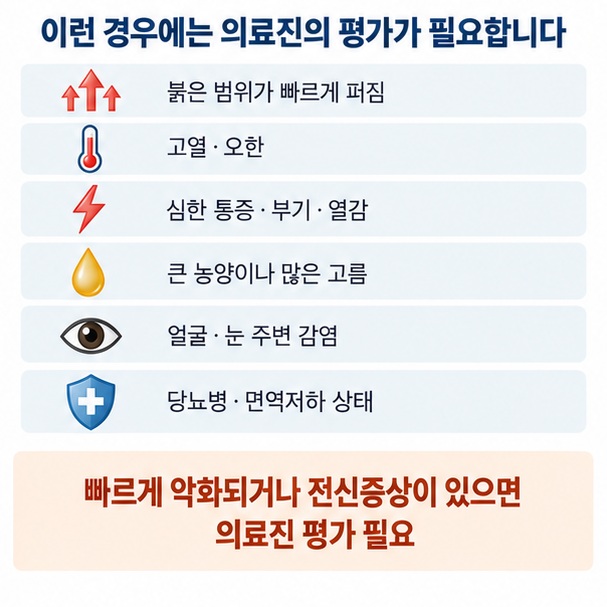 피부 붉은 범위가 빠르게 퍼짐 고열 오한 심한 통증 큰 농양 얼굴 눈 주변 감염 당뇨 면역저하 시 진료가 필요함을 정리한 이미지