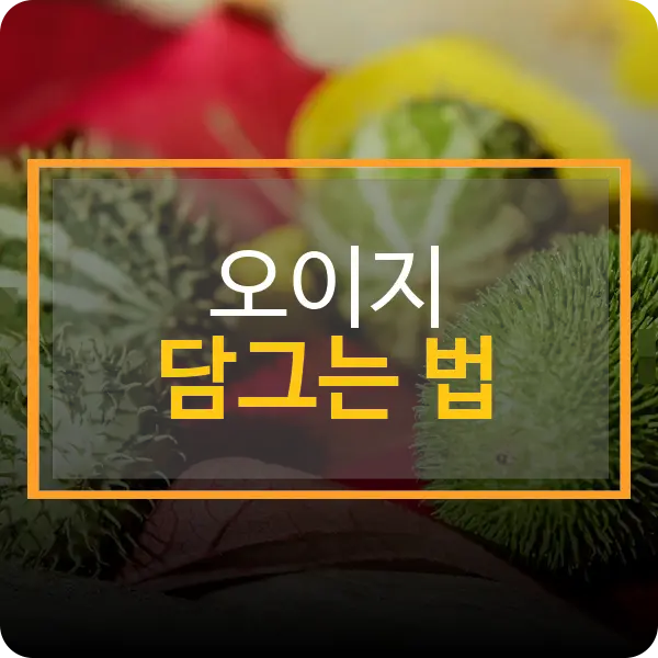 오이지 담그는 방법