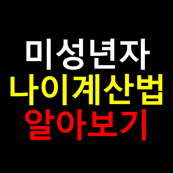 미성년자 나이계산법