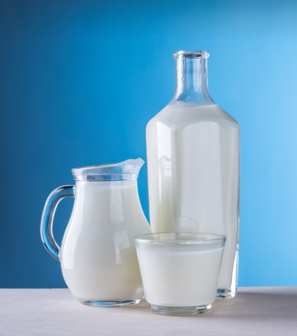 우유-겅장-골다공증-칼슘-단백질