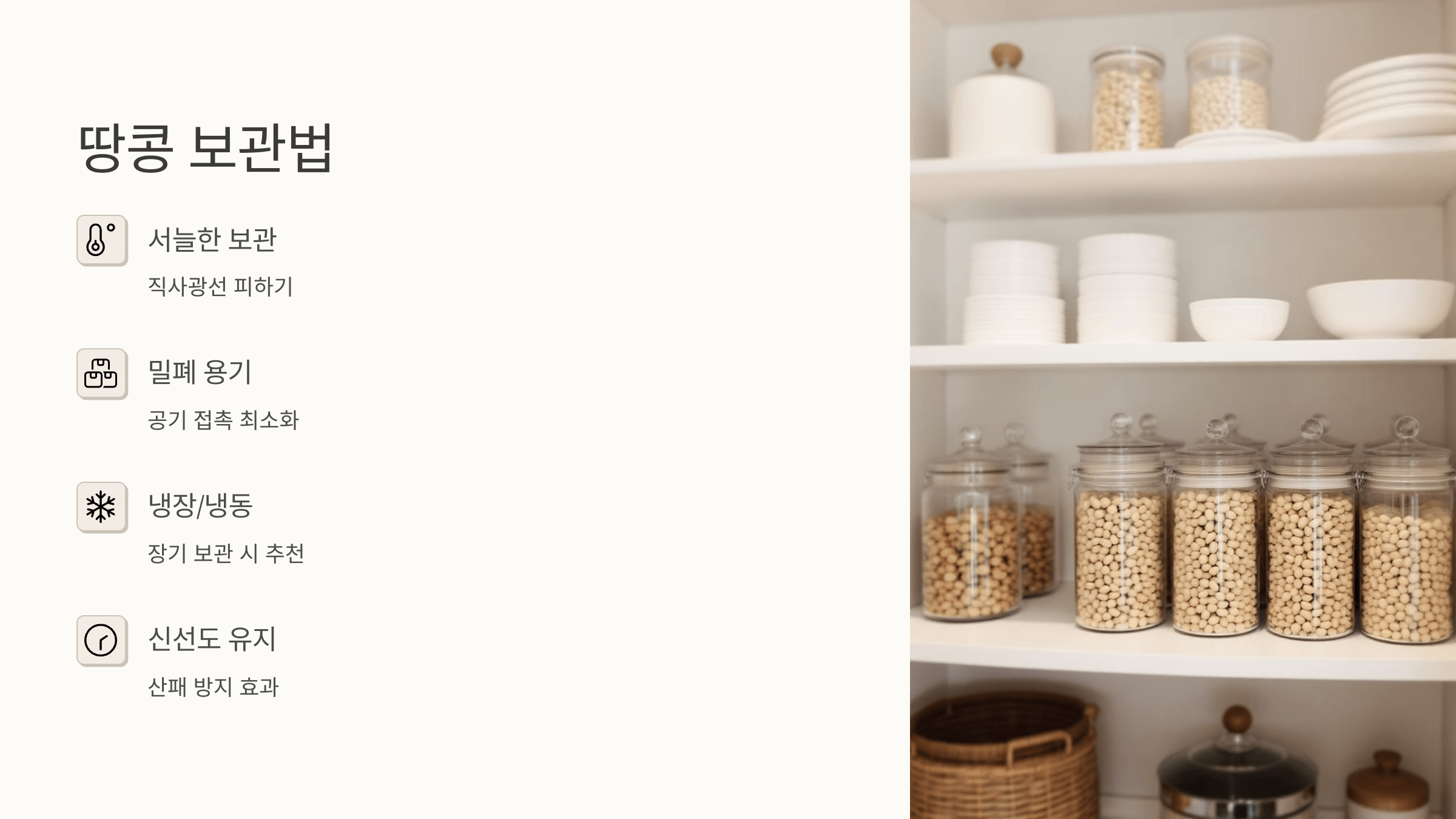 땅콩 사진입니다.