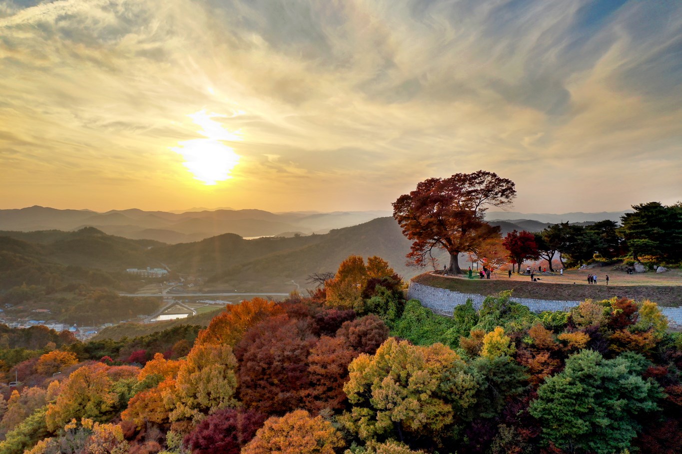성흥산성 사랑나무 - SNS 핫플 포토존 연인들을 위한 로맨틱 스팟