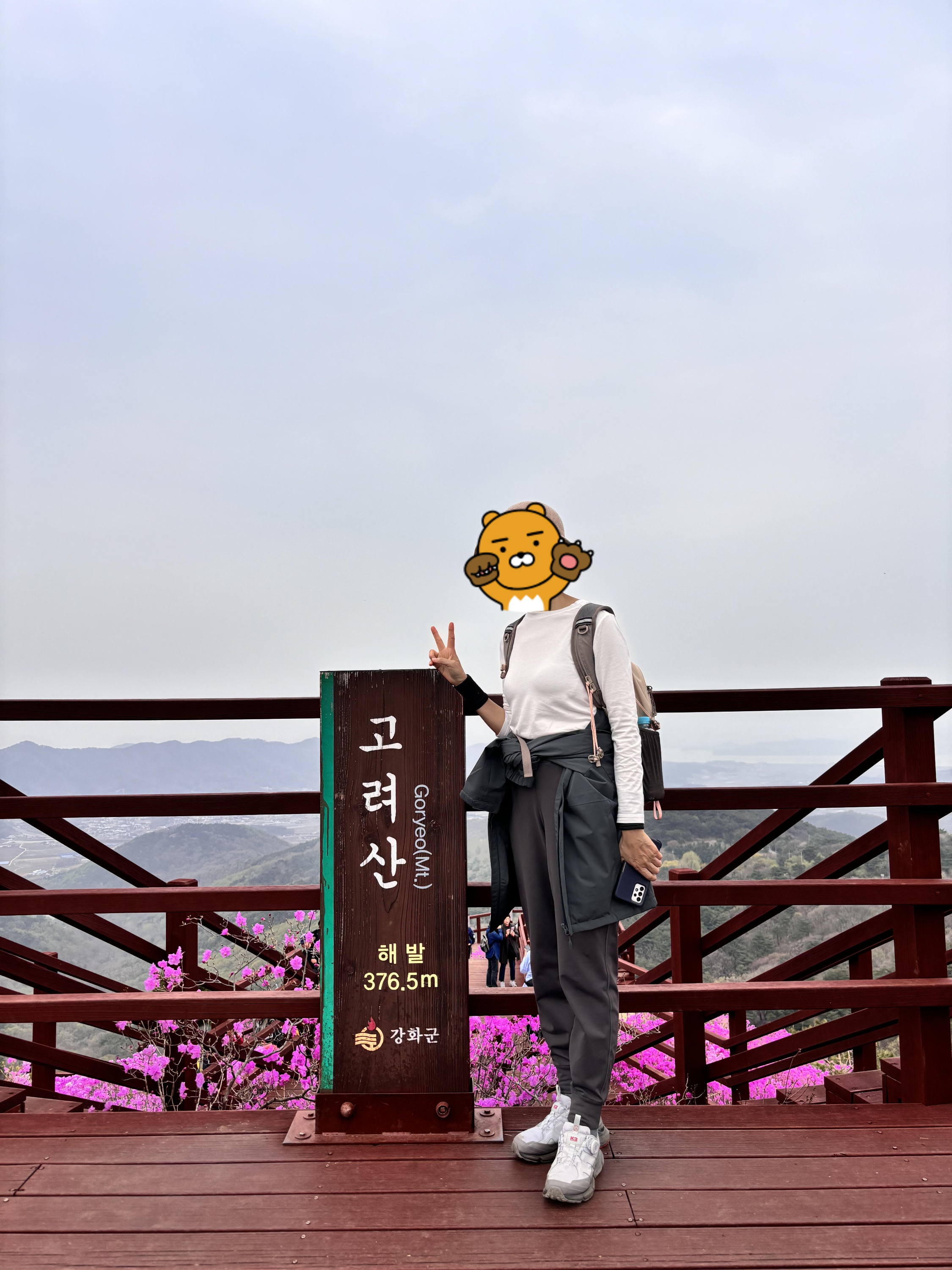 강화 고려산 진달래 축제