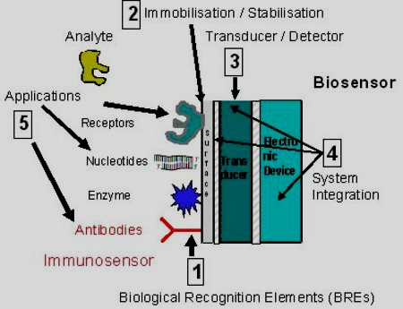 biosensor 바이오 센서