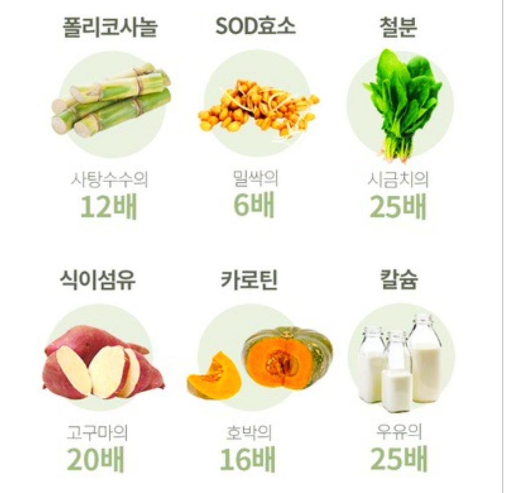 새싹보리 먹는 방법