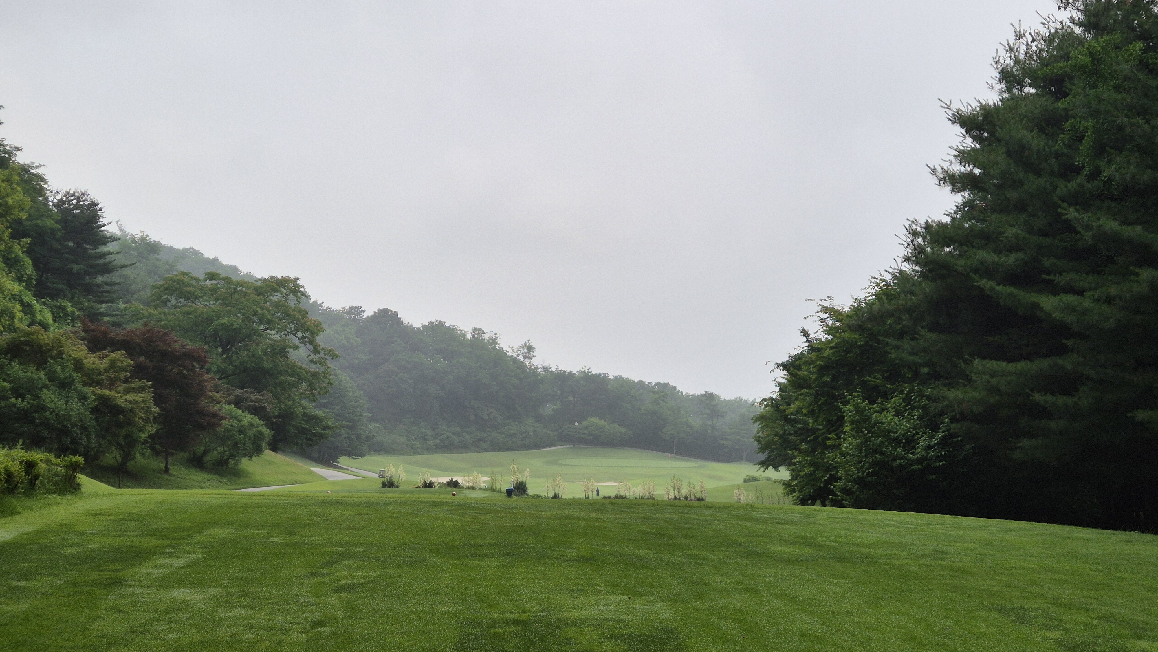 뉴스프링빌cc 공략 정보