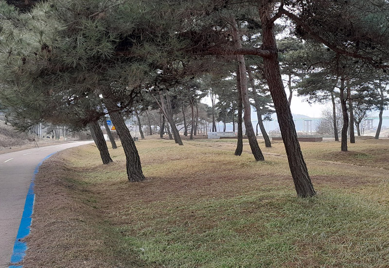 공주시 곰나루파크골프장 (웅진파크골프장)