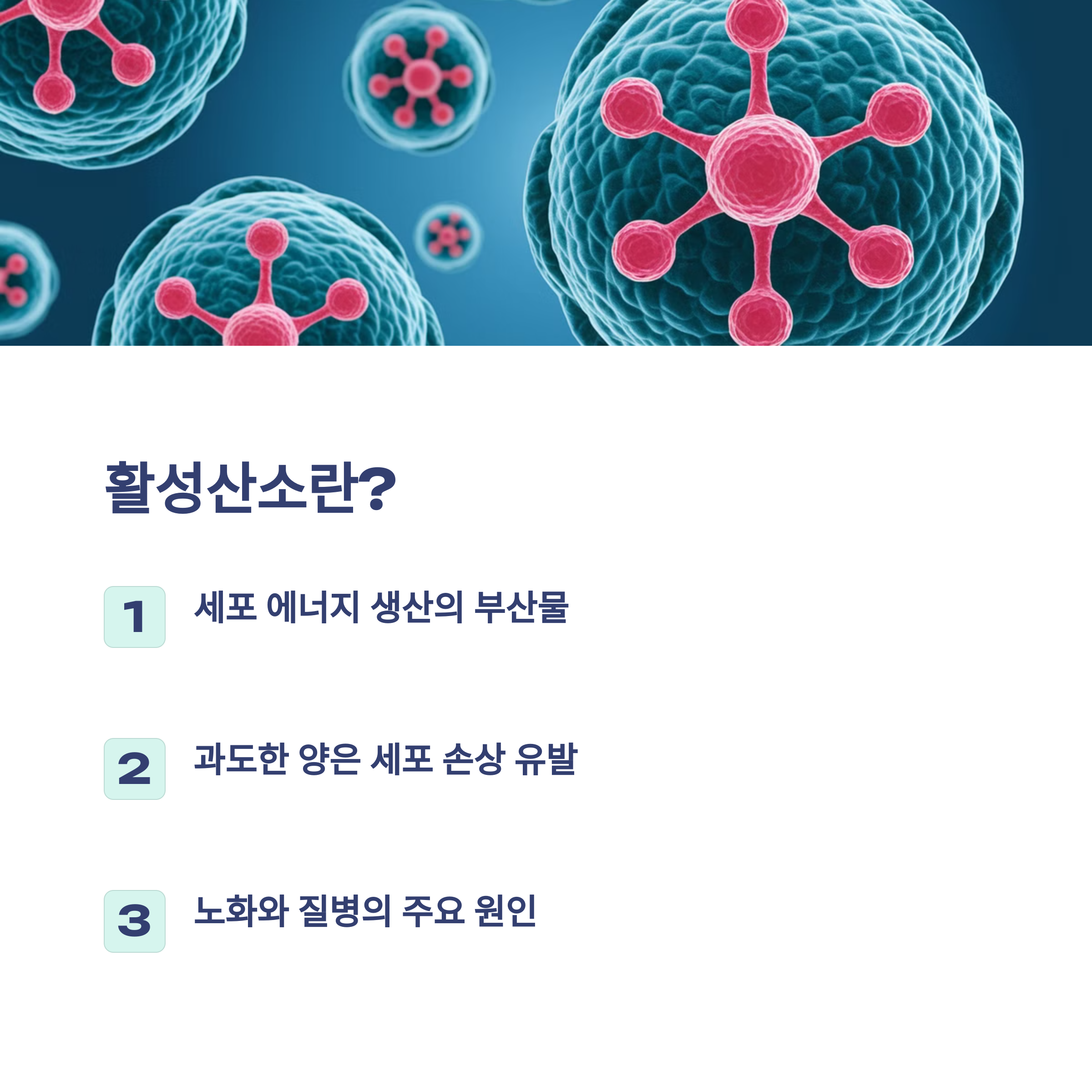 활성산소