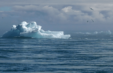 수족구 원인이 기후변화