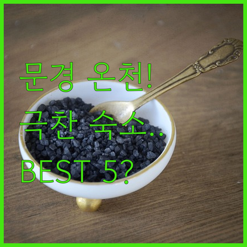 문경 온천 호텔 리조트 추천 직접 다..