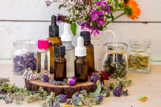 캐리어 오일의 모든 것