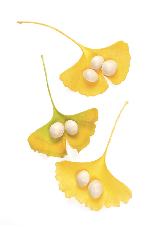 포스파티딜세린