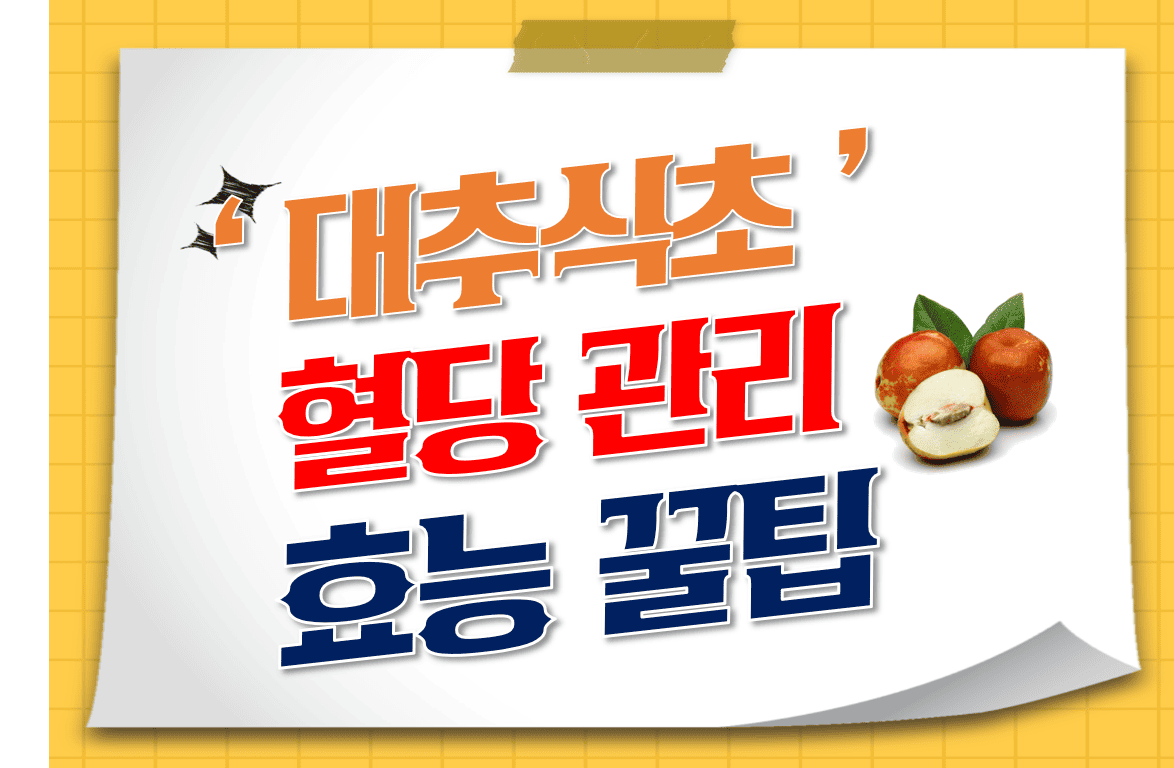 대추식초_혈당관리_효능_꿀팁