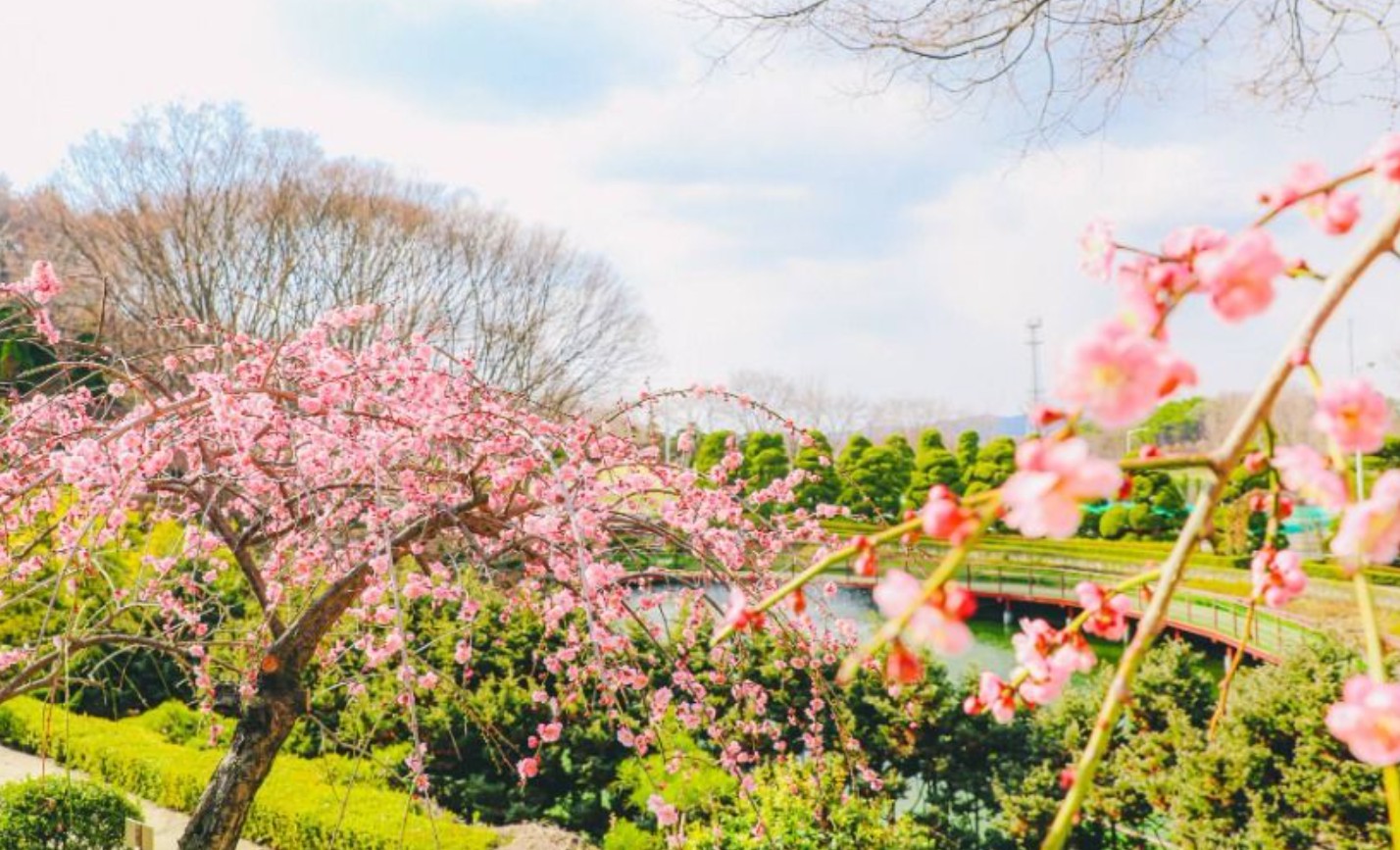 베어트리파크 봄꽃 축제
