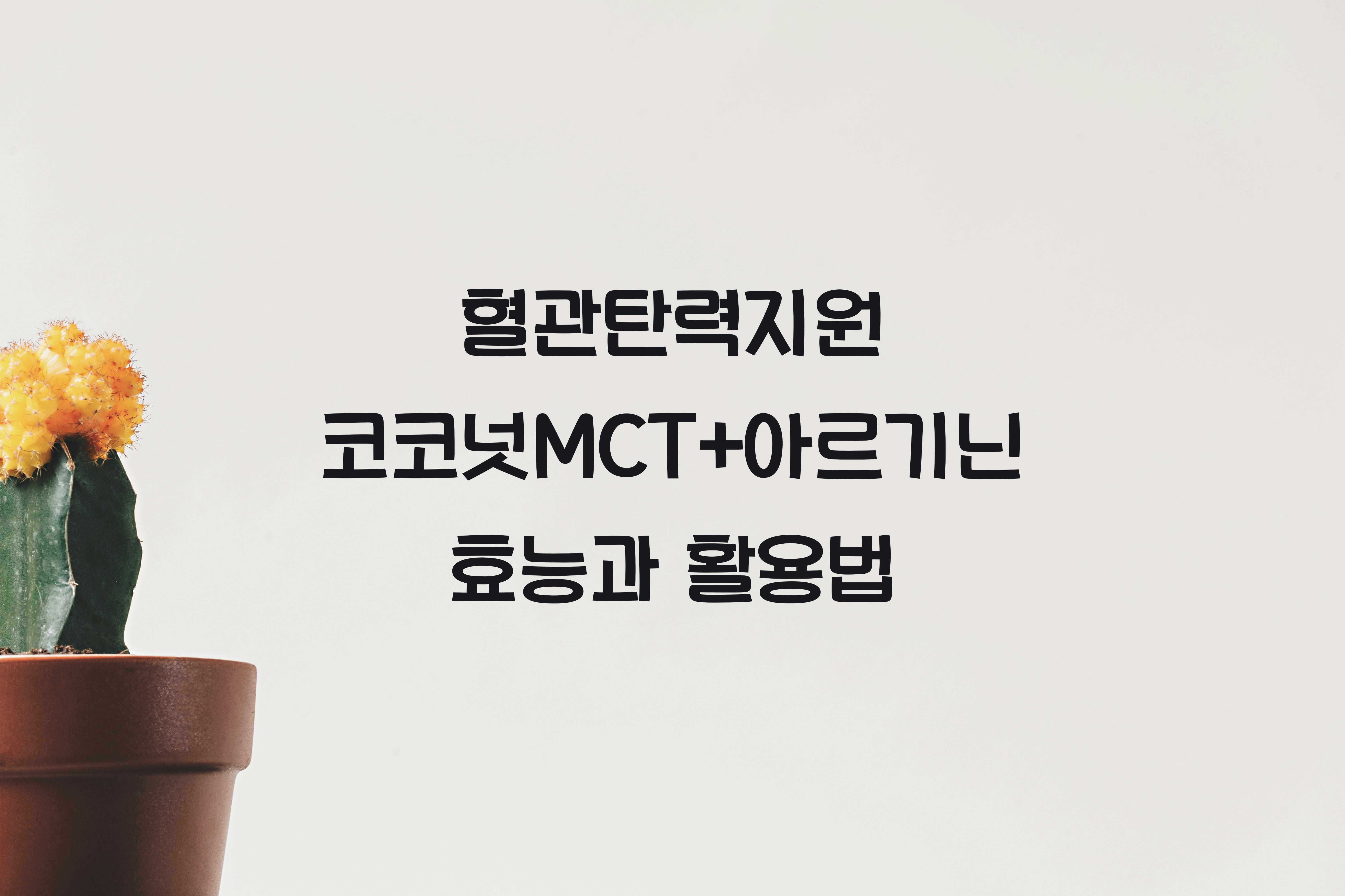 혈관탄력지원 코코넛MCT+아르기닌