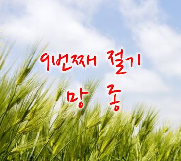 9번째 절기 망종