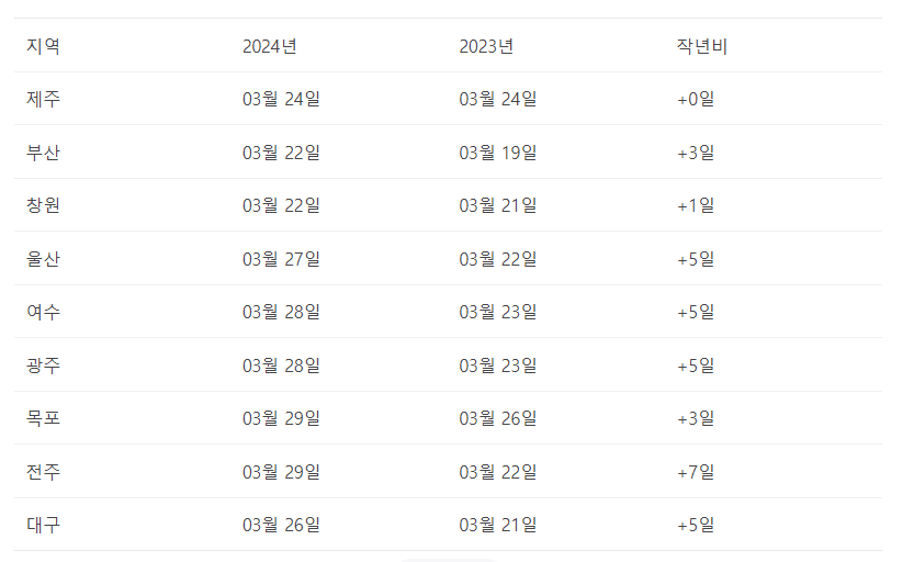 2024 벚꽃 만개시기