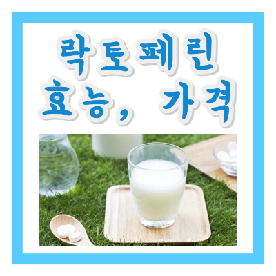 락토페린