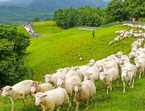 7월 여행하기 좋은곳