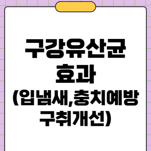 구강 유산균