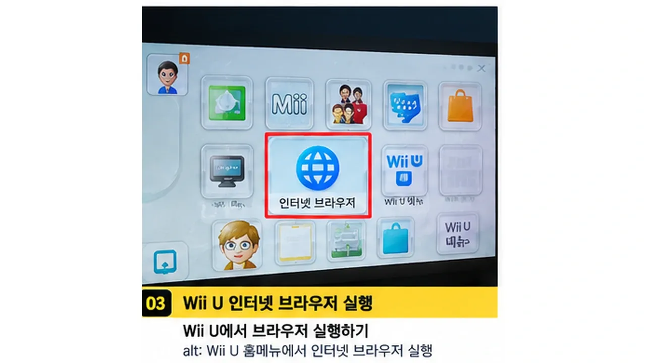Wii U 인터넷 브라우저에서 Dumpling 실행 준비 화면