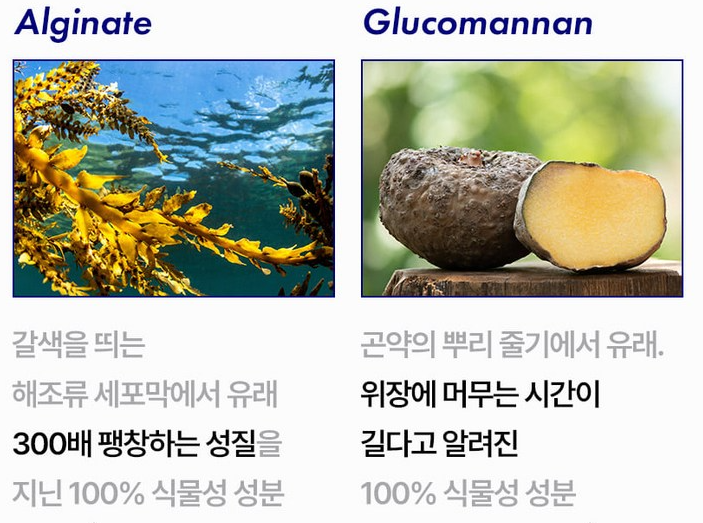 듀오렉신 나비정