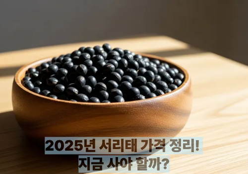 2025년 서리태 가격 정리! 지금 사야 할까?