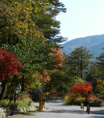 서운산 자연휴양림 숲나들e 국내 여행지 추천 관련사진
