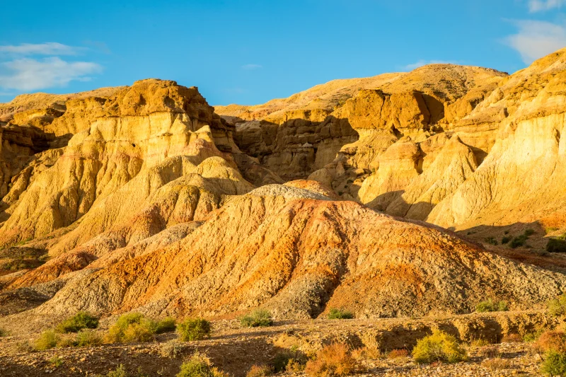 몽골 차강소브라가