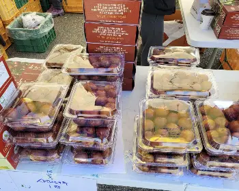 보은 대추축제_17