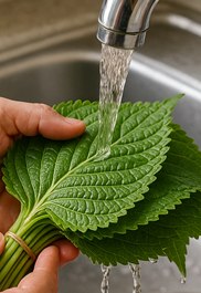깻잎김치 맛있게 담그는법
