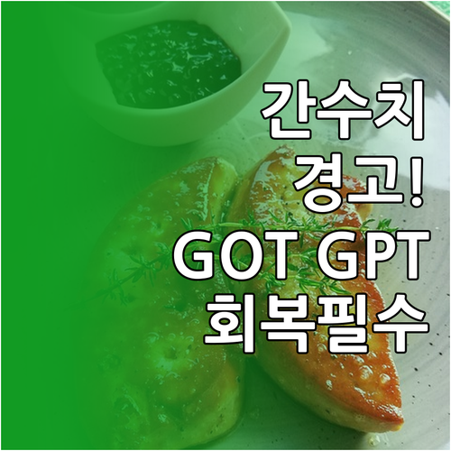 GOT GPT 수치별 간 손상 위험 ..