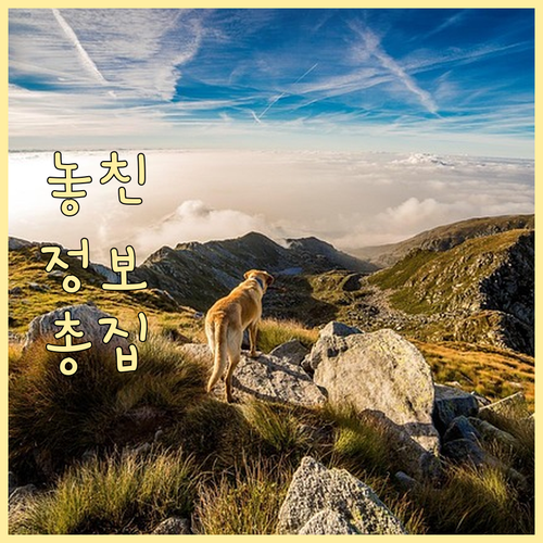 일산동구 장항동 쾌적한 환경 쓰레기 ..