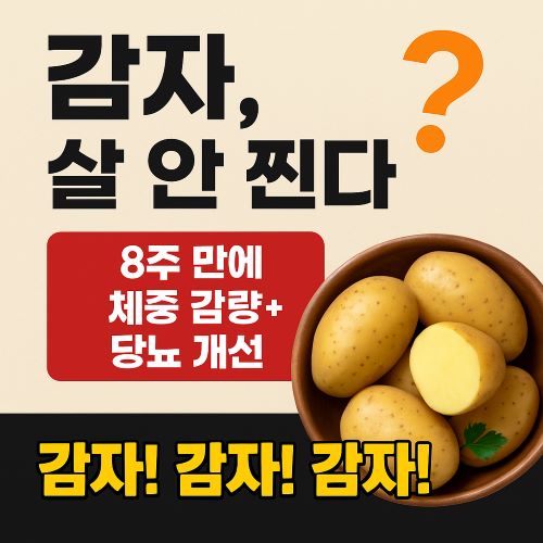 비만&middot;당뇨&middot;저항성 전분