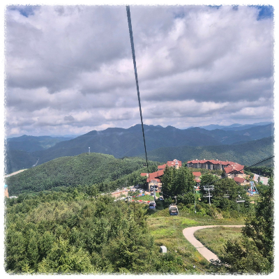 하이원 알파인코스터