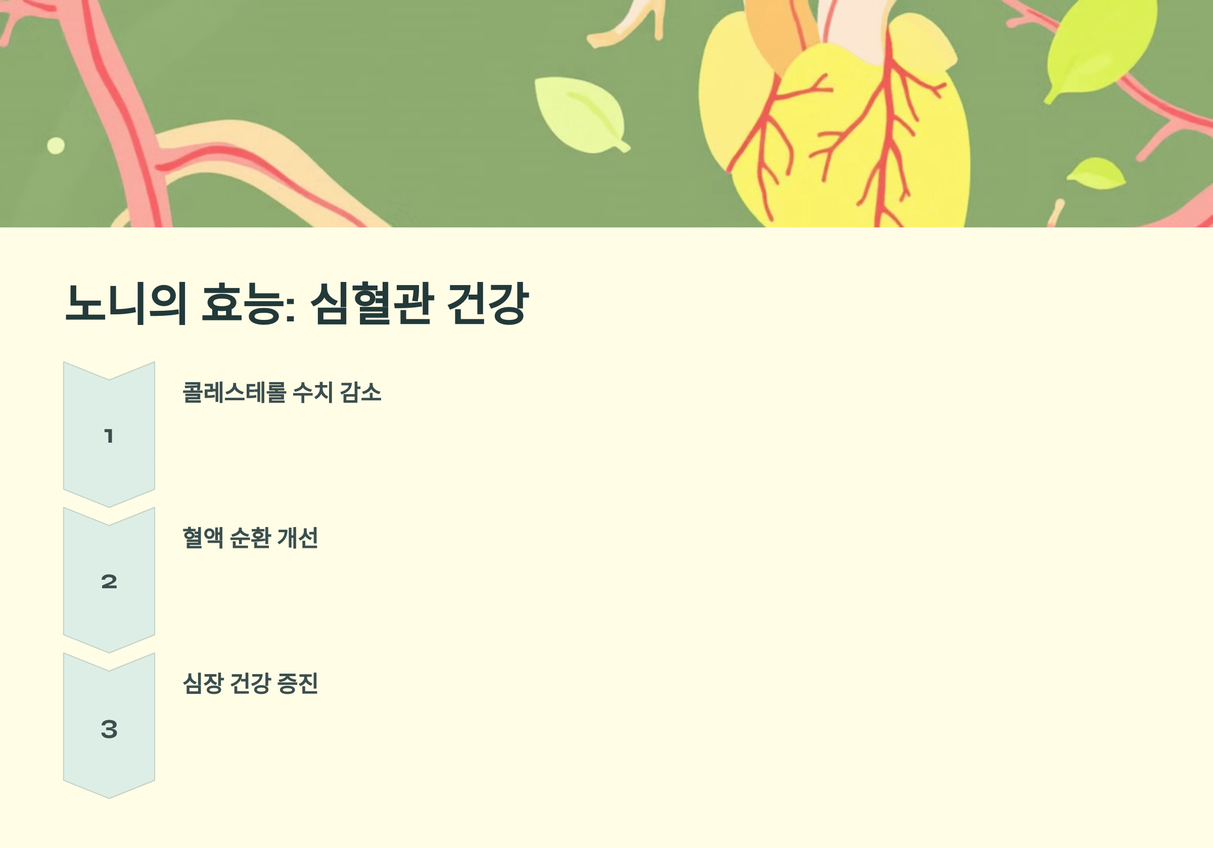 노니 사진입니다.