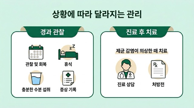 임파선염 항생제와 경과 관찰 차이