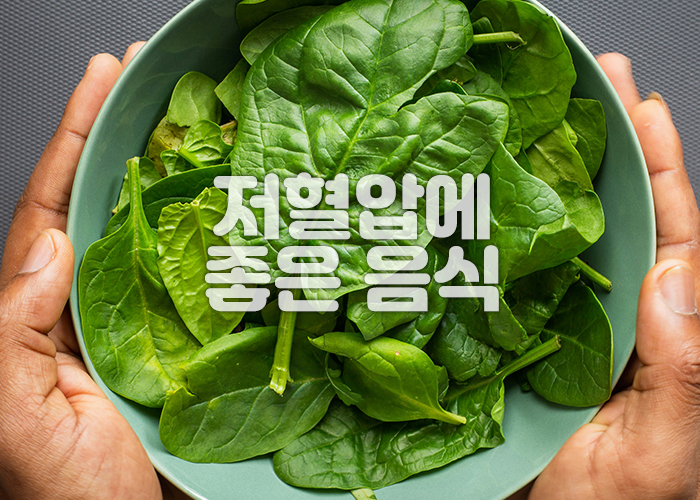 시금치가 담긴 그릇을 사람이 양손으로 잡고 있다