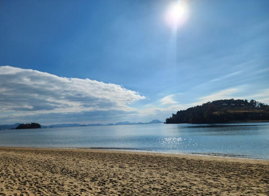 남해안 반려견 겨울 나들이 명소, 강아지와 함께 걷기 좋은 바다 산책 코스