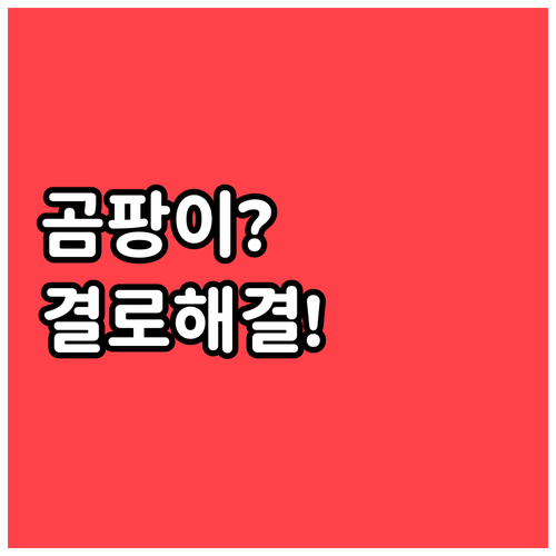 베란다 곰팡이 원인과 결로 방지 관리..
