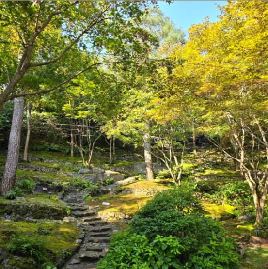 화담숲 예약하기