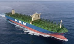 한국조선해양 주가 전망 총정리