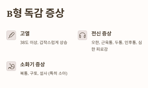 B형 독감 증상