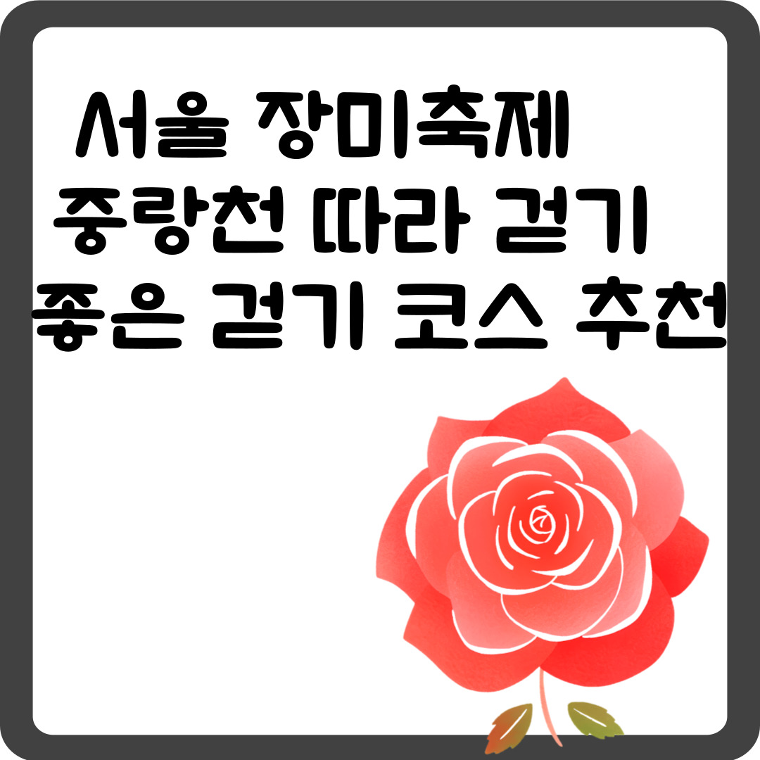 서울 장미축제 & 중랑천 걷기 좋은 걷기 코스 추천